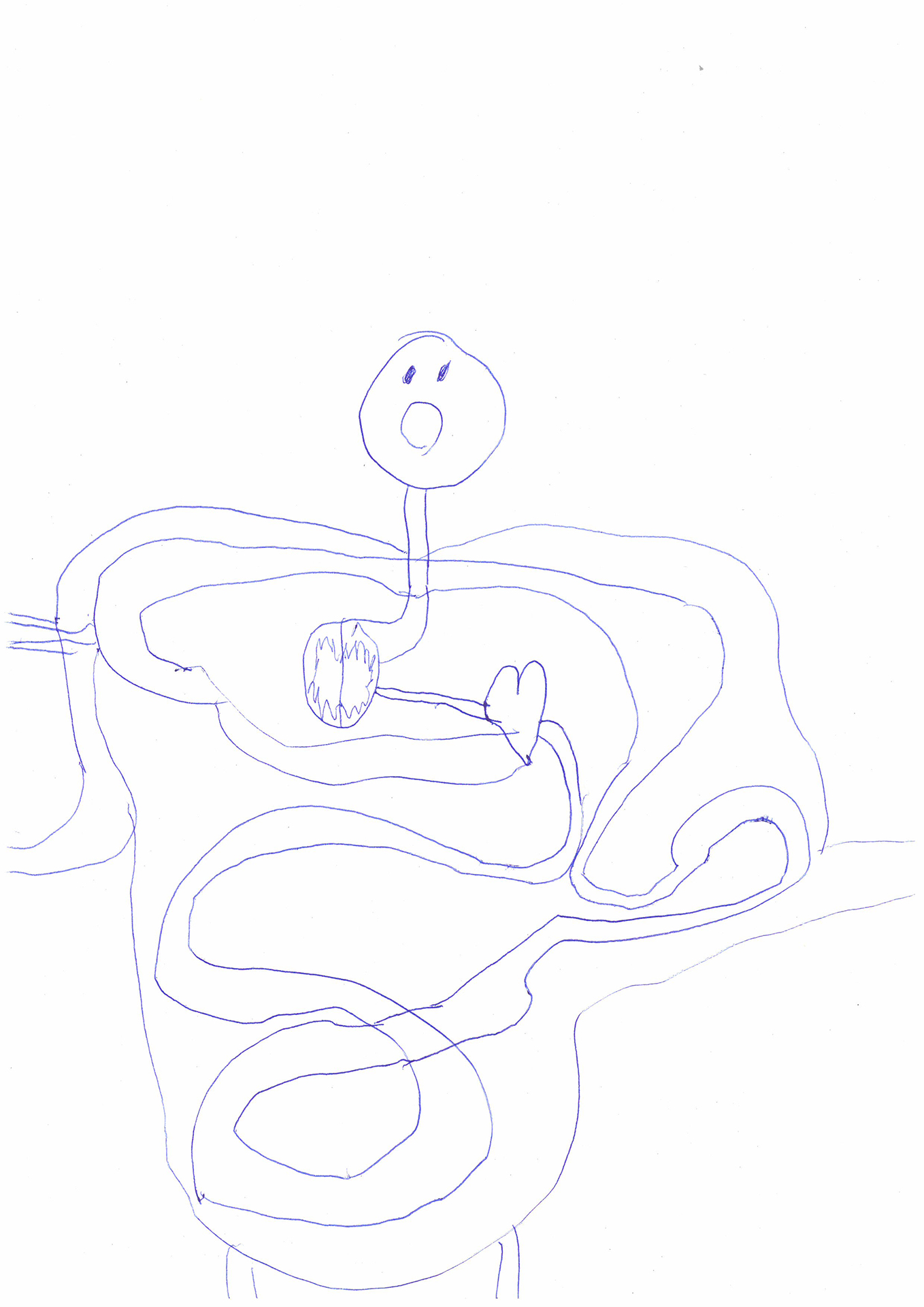 Dessins-attalens-14 Heds FR — Rapport d'activité 2025