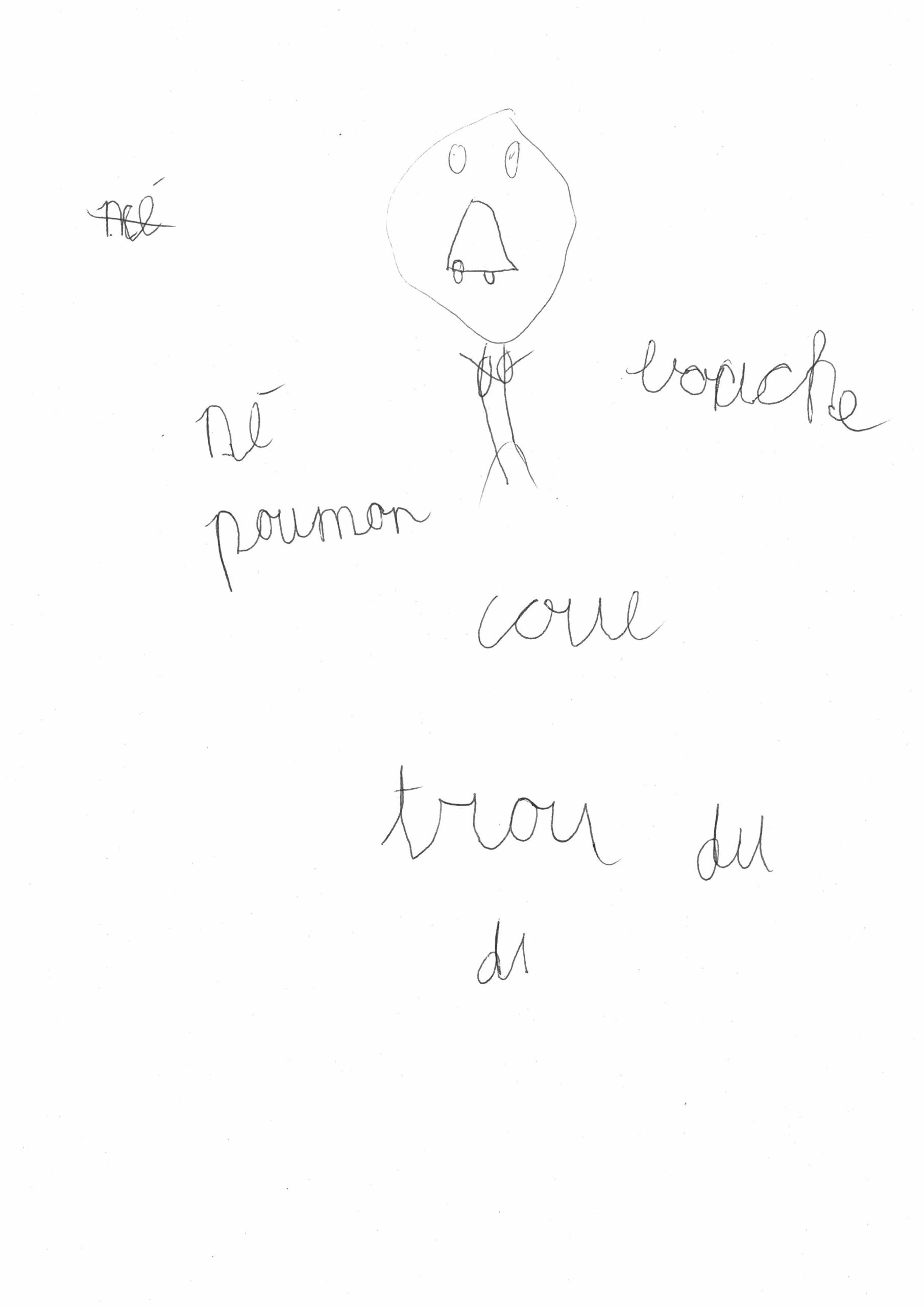 Dessins-attalens-2 Heds FR — Rapport d'activité 2025