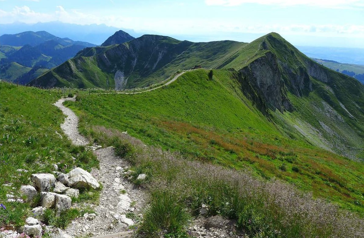 Flyer-sensibilisierung-pc-2025 Heds FR — Rapport d'activité 2025