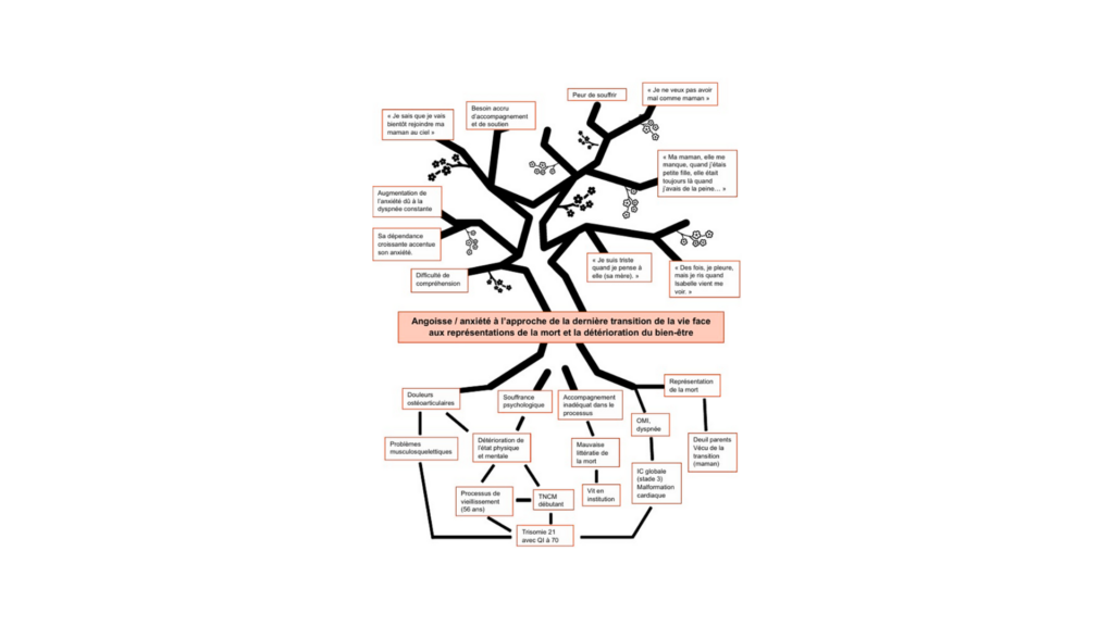 Module-à-option-28.3-1 Heds FR — Rapport d'activité 2025