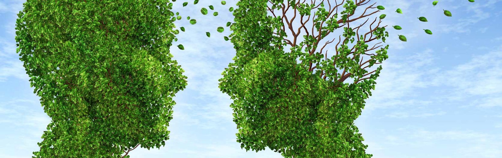 Programme-usd-2 Heds FR — Rapport d'activité 2025